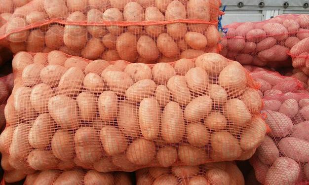 Картофель от производителя, актуальная цена от 14 рублей/кг