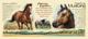 Кружка керамическая American Mustang (American Expedition)
