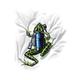 Футболка Amphibious Outfitters Frog