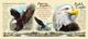 Кружка керамическая Bald Eagle (American Expedition)