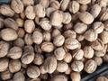 Продам грецкие орехи, урожай 2017 года.