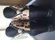 Сникерсы ботинки полусапожки новые giuseppe zanotti италия 39 размер женские на танкетке кожа чёрные